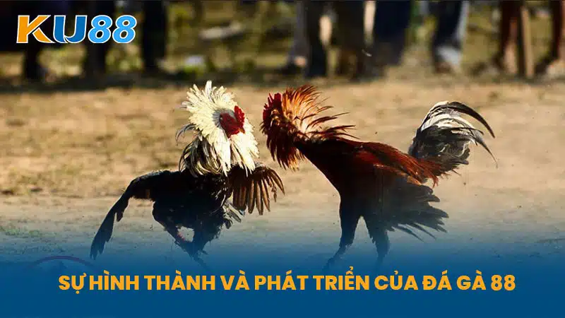 Sự Hình Thành và Phát Triển Của Đá Gà 88