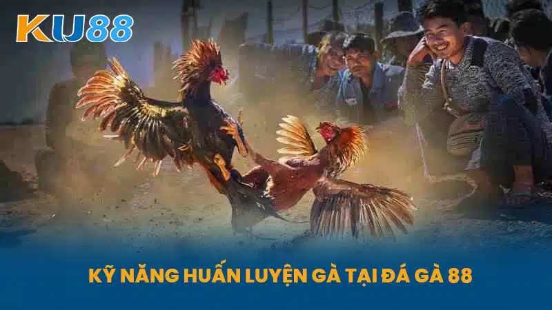 Kỹ Năng Huấn Luyện Gà Tại Đá Gà 88