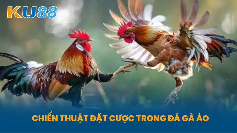 Chiến Thuật Đặt Cược Trong Đá Gà Ảo