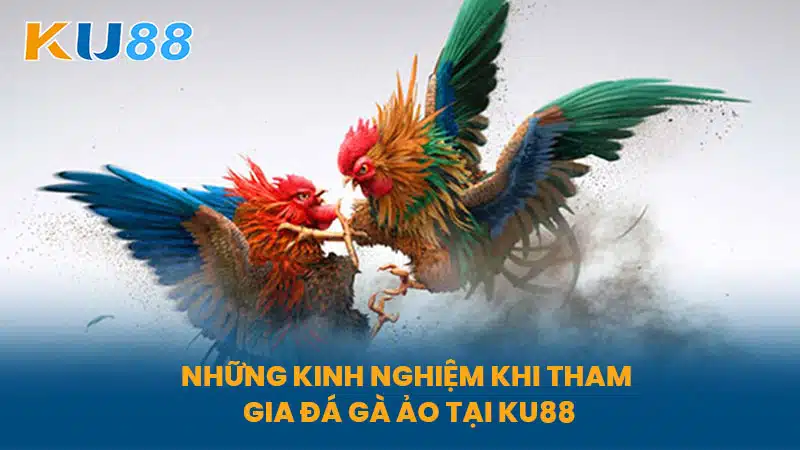 Những Kinh Nghiệm Khi Tham Gia Đá Gà Ảo Tại KU88