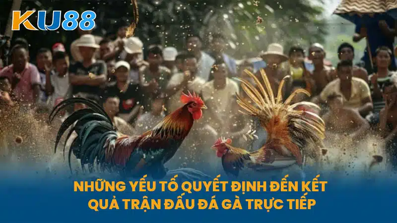 Những yếu tố quyết định đến kết quả trận đấu Đá Gà Trực Tiếp