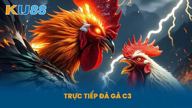 Trực Tiếp Đá Gà C3 - Đá Giải Siêu Hấp Dẫn Mới Nhất Tại KU88