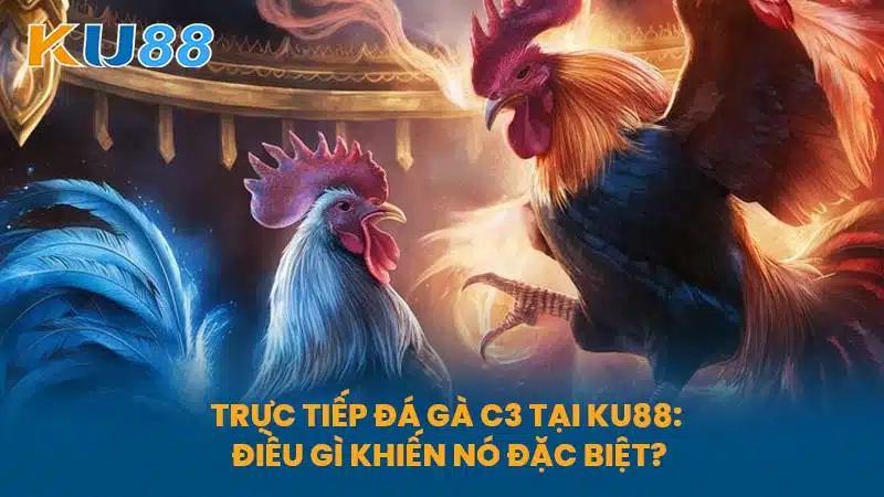 Trực Tiếp Đá Gà C3 tại KU88: Điều gì khiến nó đặc biệt?