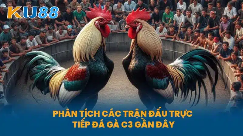 Phân tích các trận đấu Trực Tiếp Đá Gà C3 gần đây