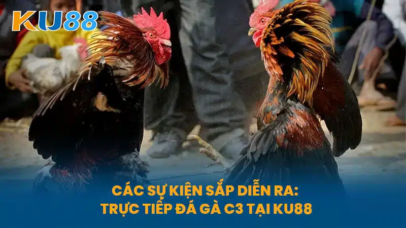 Các sự kiện sắp diễn ra: Trực Tiếp Đá Gà C3 tại KU88